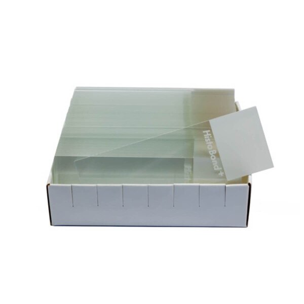Histobond® Slides, charged